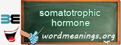 WordMeaning blackboard for somatotrophic hormone
